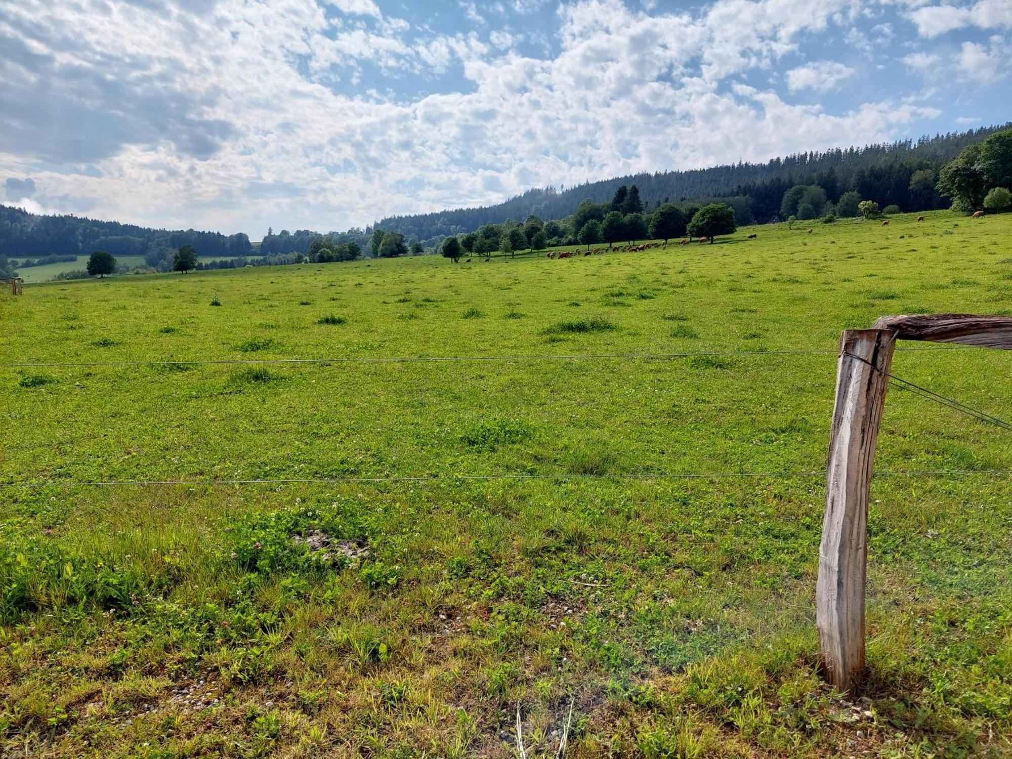 Penzion Slupecna Lipno nad Vltavou Exterior photo