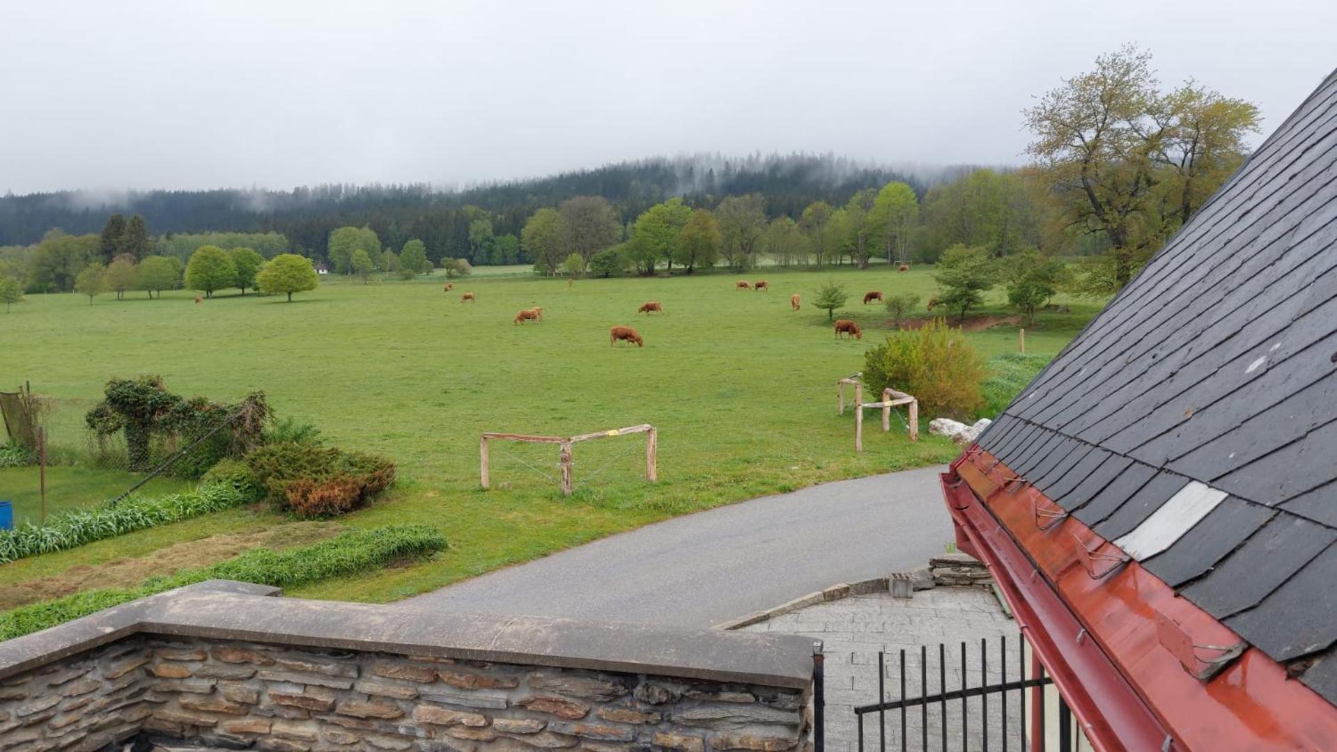 Penzion Slupecna Lipno nad Vltavou Exterior photo